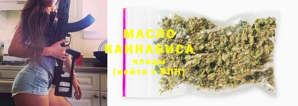 эйфоретик Вяземский