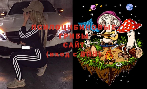 эйфоретик Вяземский