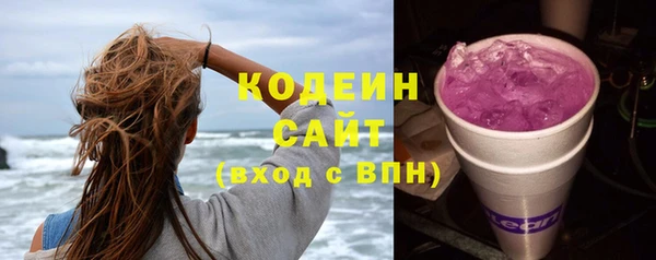 эйфоретик Вяземский