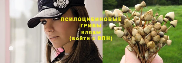 эйфоретик Вяземский