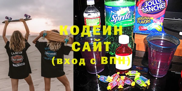 эйфоретик Вяземский