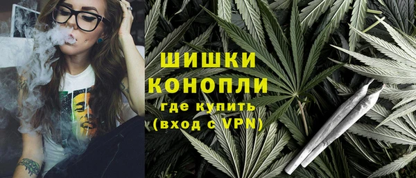 эйфоретик Вяземский