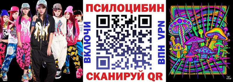 Купить где  Облучье  Галлюциногенные грибы Magic Shrooms 